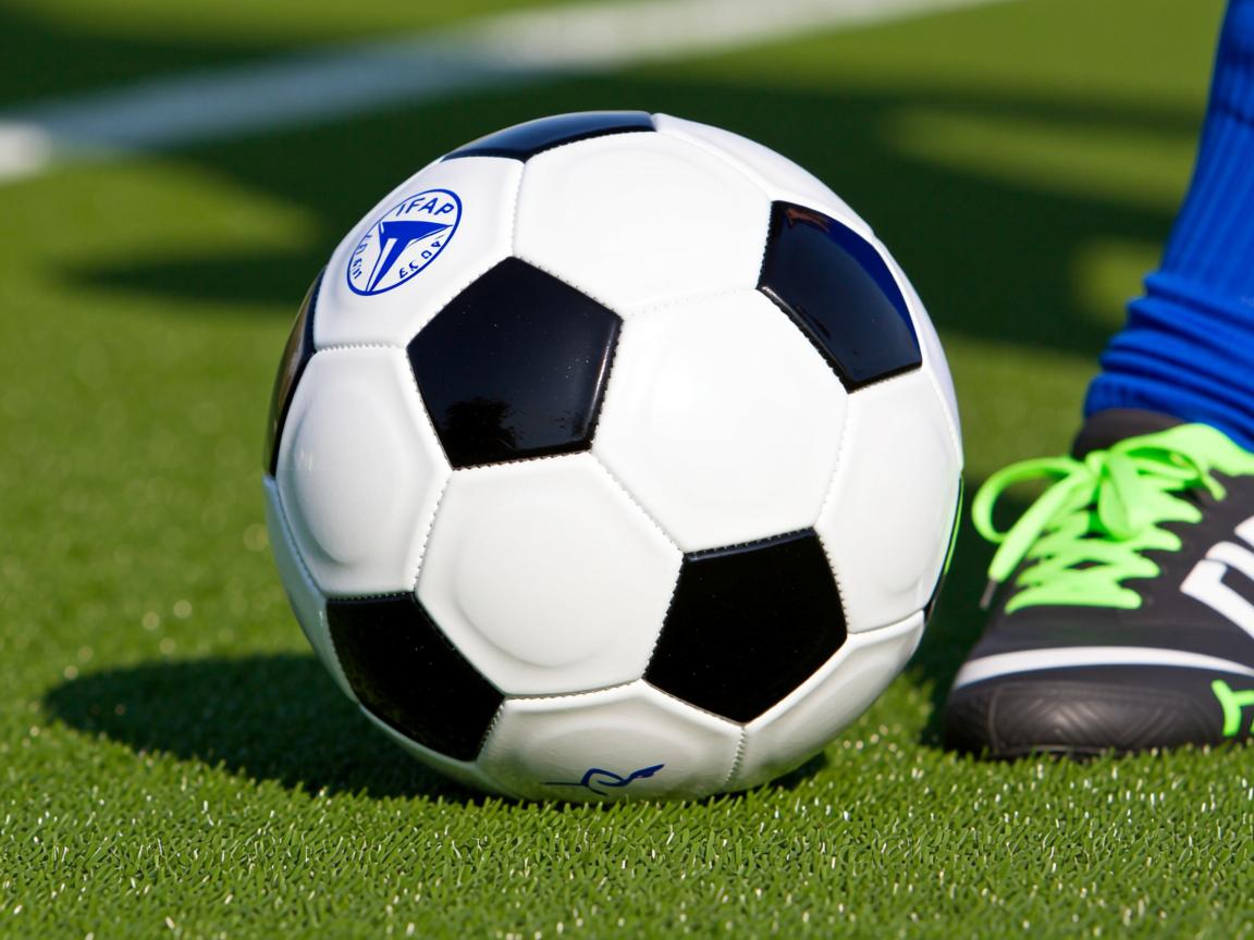 开云体育官网上-沙尔克豪取三分,登上联赛前列 第2张