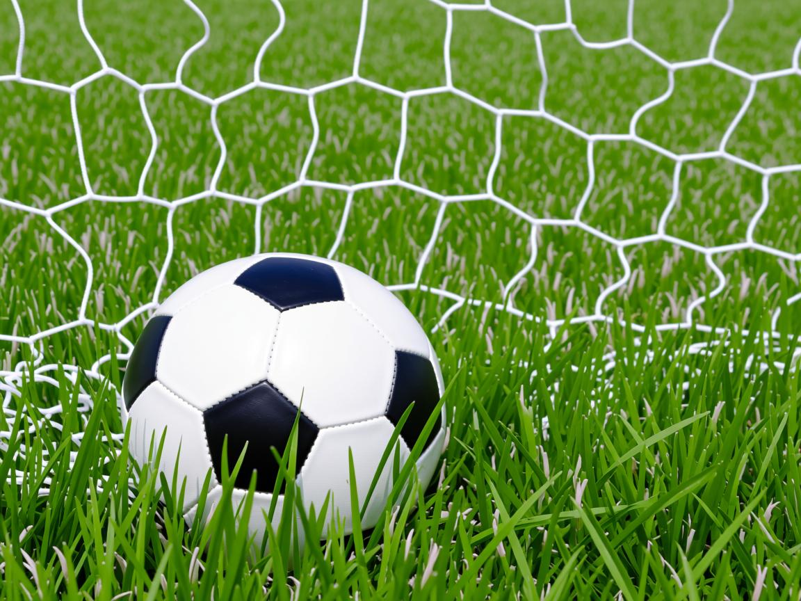 开云体育-布努续约谈判已进入最后阶段，布努克斯  第2张