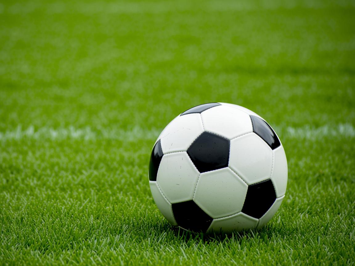 开云体育官网-弗赖堡进攻区域控制力增强压制对手，弗赖堡市  第2张