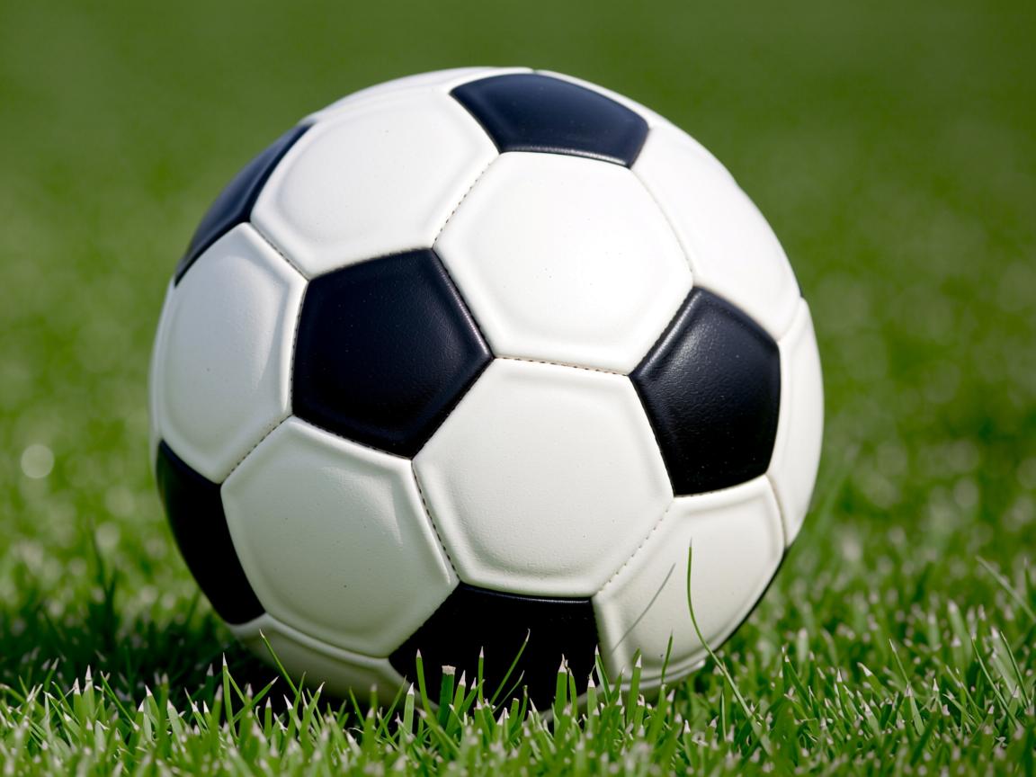 开云ky官网-校园篮球裁判培训体系为何缺位，校园篮球裁判的发展现状分析