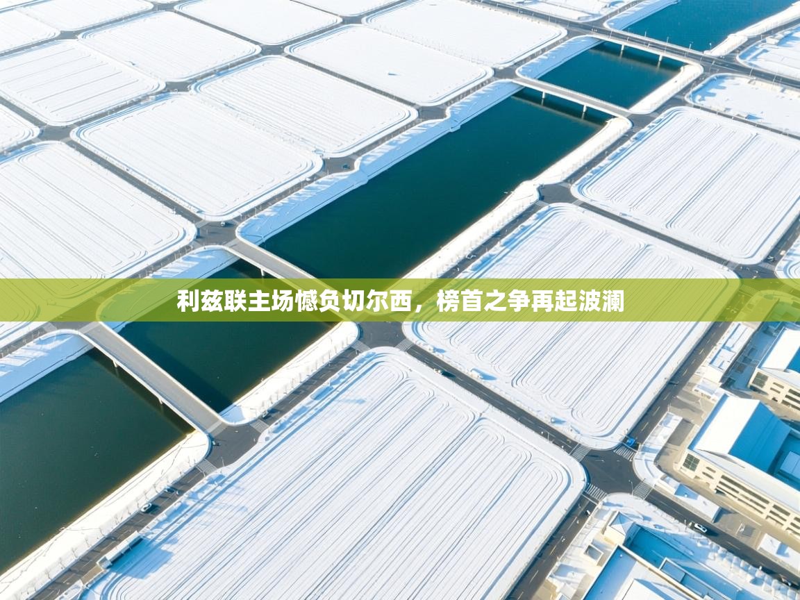 利兹联主场憾负切尔西，榜首之争再起波澜  第1张